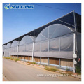 High quality multi-span plastic film green house